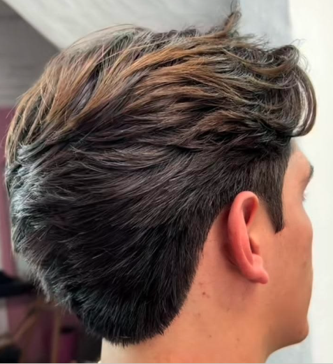 ALISAMENTO