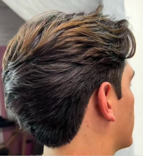ALISAMENTO